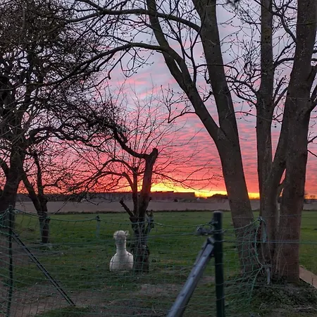 Apartman Urlaub Auf Dem Alpakahof Naehe Velgast